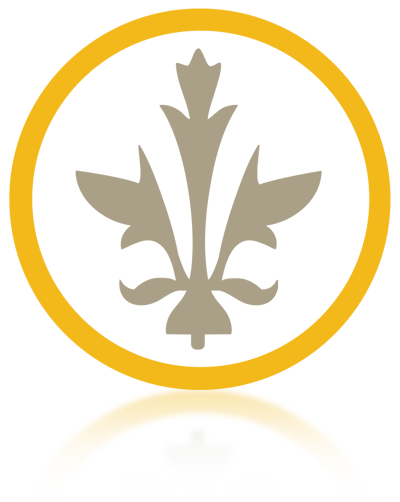 RIS Melia-Icon with reflection